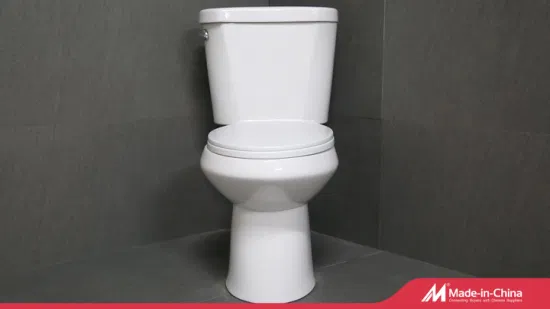 China Sanitary Ware Die Top 10 Marken Guangzhou Upflush Made Toilettenset Sit